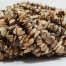 PICTURE JASPER chips